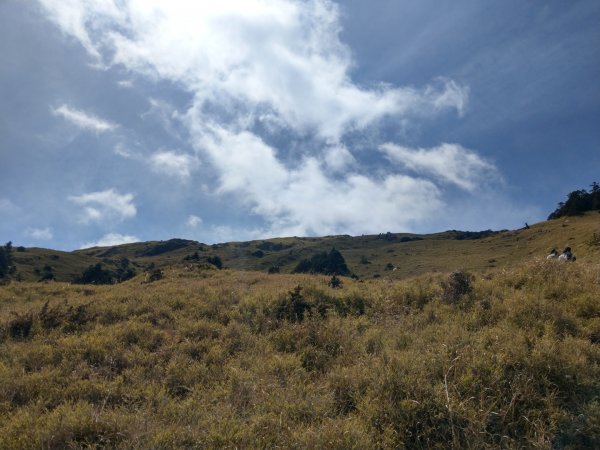 合歡山東峰-主峰-南峰857794