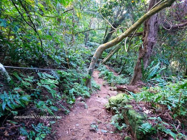 【桃園】溪洲山步道~ 眺望桃園台地小百岳1599301