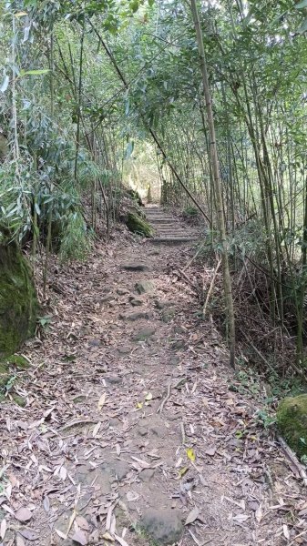 20251004 馬那邦山 - 珠湖 登山口2904914