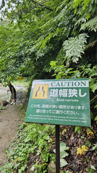 240814-白神山地世界自然遺產地域。美美兔不能錯過的日本東北健行路線。2603902