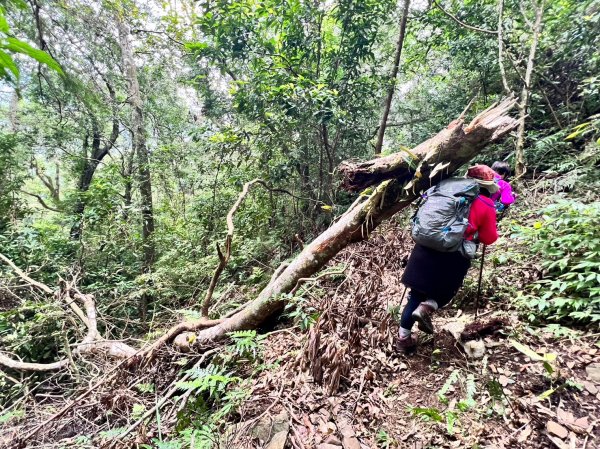 福巴越嶺國家步道2364476