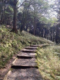 1130306大塔山步道2696766