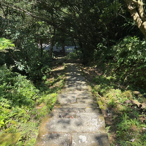 天上山2780414