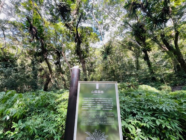 1141129巨人之手｜雪山坑登山步道2949151