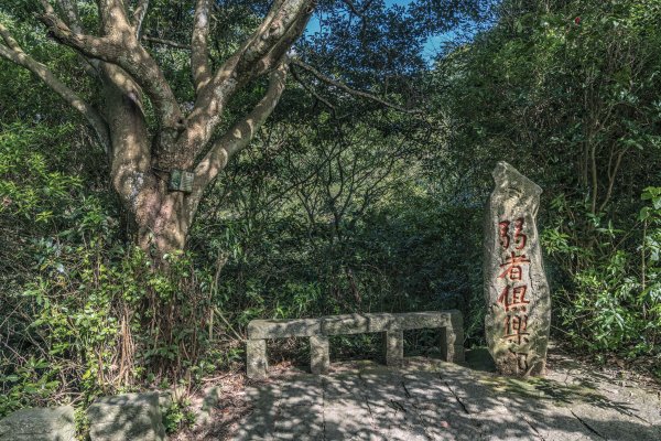 觀音山(北橫古道)1542405