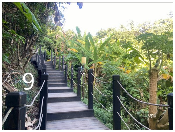 軍功寮山、大坑9、7、6、9-1步道 O型一圈2950782