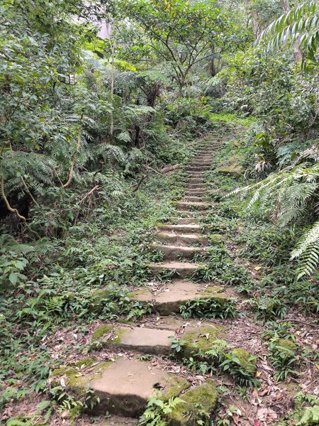 20250830天上山、旺旺嶺、太極嶺2874087