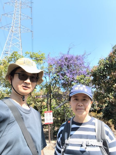 南投草尾嶺步道(賞血藤花)3031404