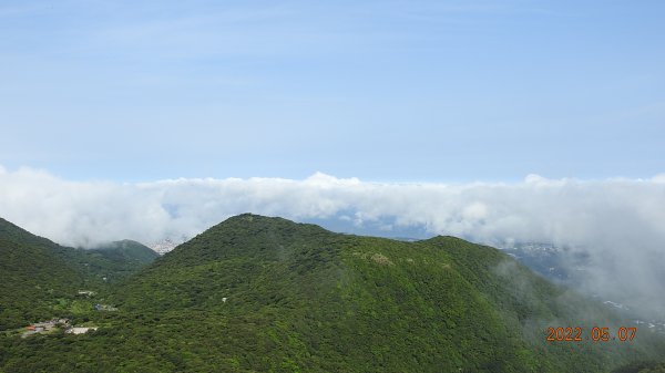 雲山水花鳥蝶 - 天龍國阿伯的日常5/71704445