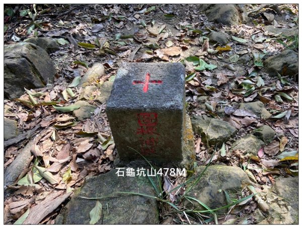 草嶺山、白石山、頭寮山 六連峰 O型路線2798647
