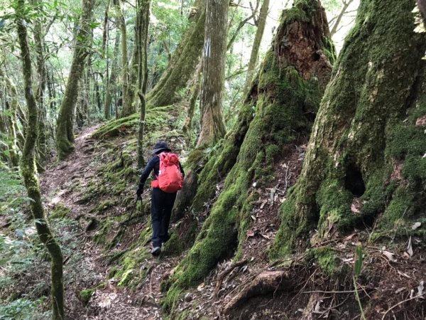 霞喀羅古道走石鹿大山474831