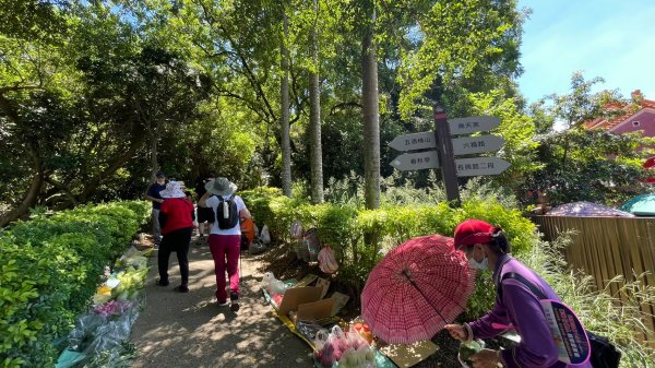 桃園｜蘆竹 五酒桶山步道1487794