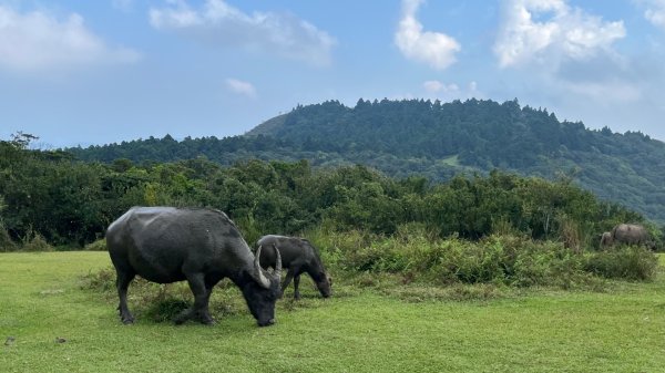 臺北大縱走第三段_登七星而小台北2910362