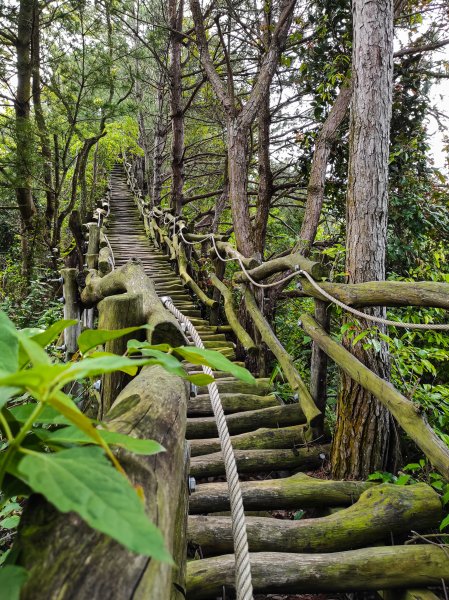 大坑3號登山步道1684734