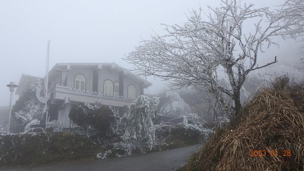 霧茫茫雪白冰封世界-太平山首度追霧淞成功202301282009581