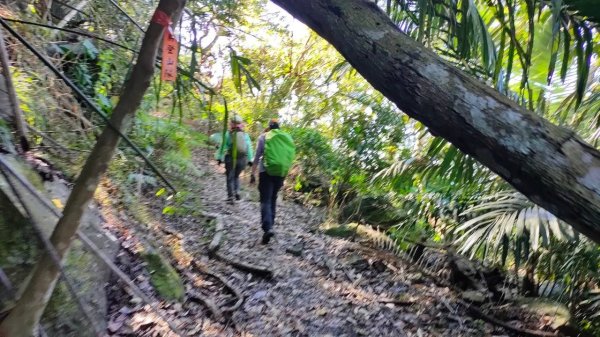 🌈2/15（六）白雲山+西阿里關山小百岳🌈FB：熊熊趴爬走 歡迎加入2714921