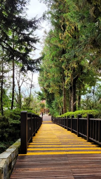 太平山森林遊樂區，檜木原始林步道，九寮溪自然步道，戈霸瀑布，開眼崙登山步道1859629