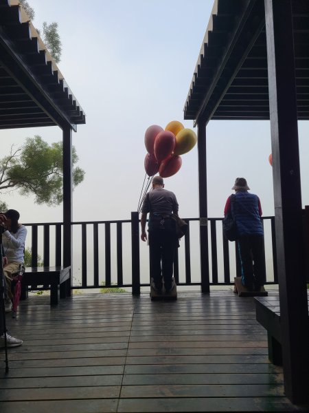 大坑10號提前修好啦(10號上+6號+7號下)2753646