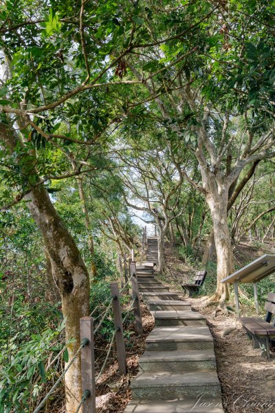 [台中]聚興山2703791