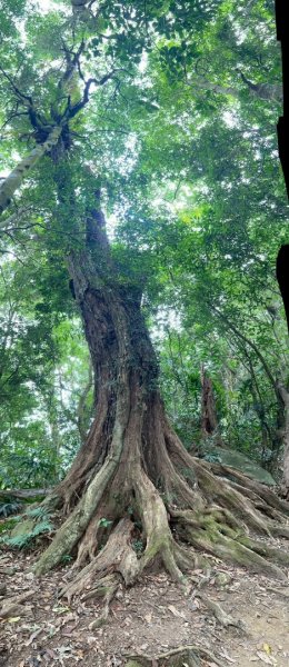 馬那邦山（珠湖登山口）2933982