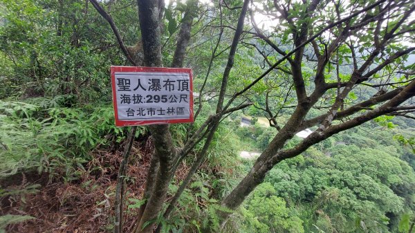 聖人瀑布➡️聖人崙➡️雙溪山+梅花五弄➡️帕米爾公園➡️聖人橋O型2797044