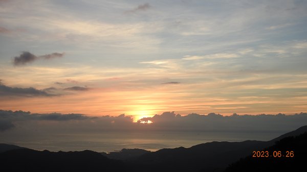 雲山水花鳥蝶 - 天龍國阿伯的日常 6/262195477