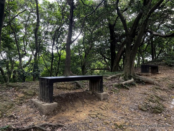 連走微笑山線第一段＋第二段（大棟山系）2853026