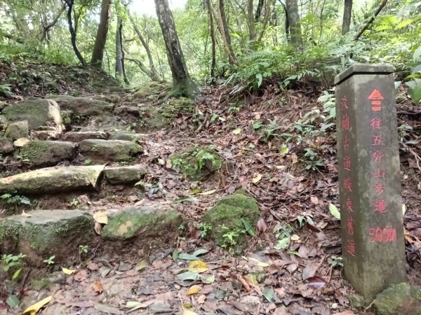 基隆市暖東舊道+頂子寮山+五分山步道(五分山)去回2946202