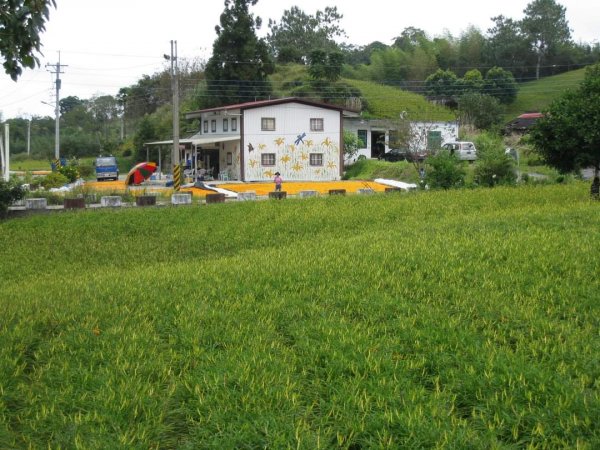 小百岳NO.92 花蓮萬人山。赤科山 六十石山，玉里神社遺址，奇萊鼻燈塔步道2250435