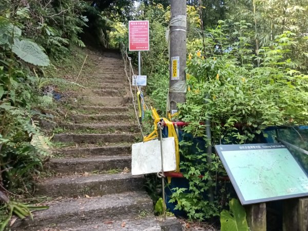 平溪區大華步道+幼坑古道+幼坑崙(大華車站-三貂嶺車站)2925279