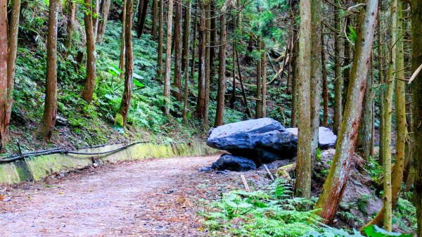 油羅山(一上三下)2959210