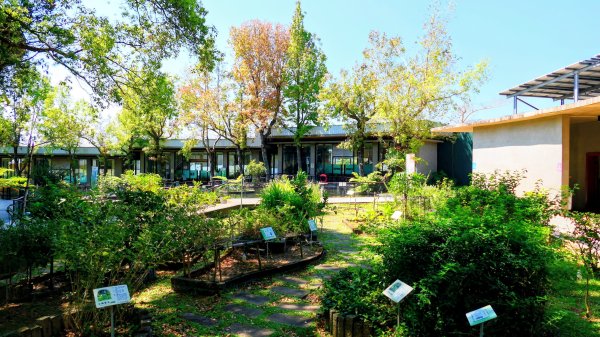 台東原生應用植物園3015249