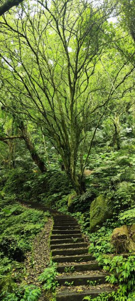 新竹內灣．馬胎古道202506212823509