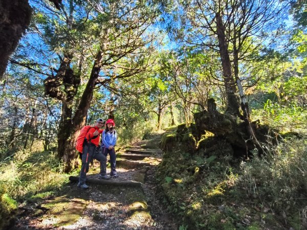翠峰湖望洋山步道2940134