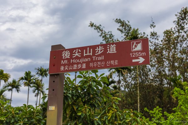 [南投]後尖山3015573