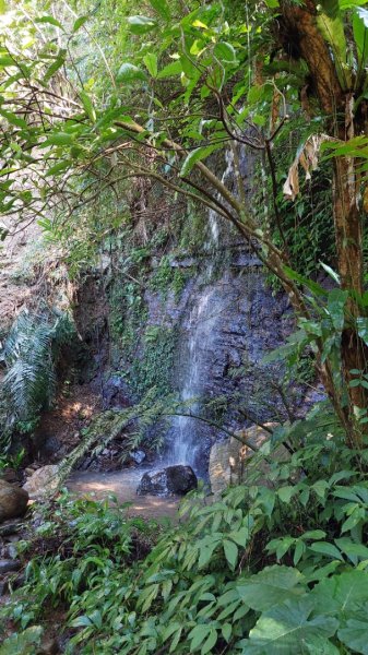 新店小粗坑赤蘆古道越嶺O型2784410