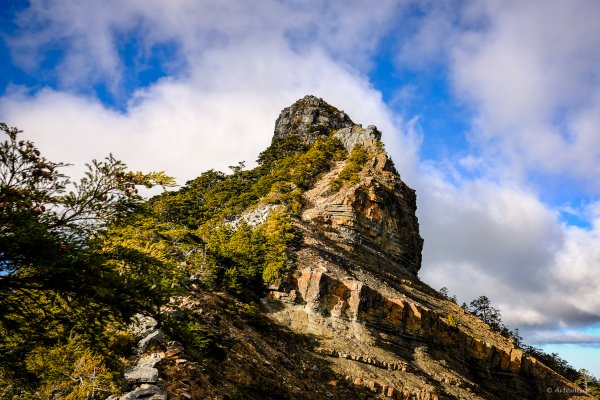 [冬訪大霸聖山岳參行]-榮耀桂冠B'bu' Papak聖稜精選輯2974795