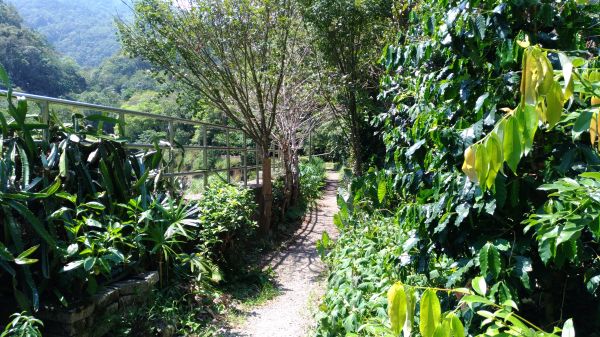 登山戲水於大羅蘭溪古圳步道(福山馬岸)172748