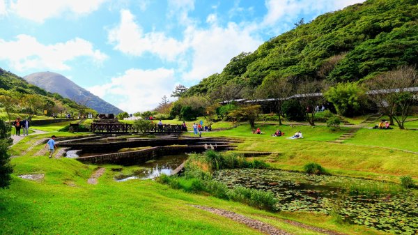 向天蝦不蝦2936846