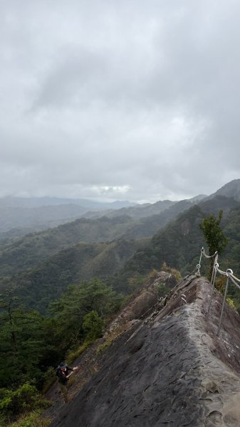 迎新（2026元旦2975600