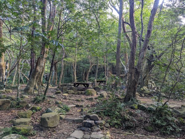 防護措施完善的五星級步道：里龍山(小百岳#80)1535959