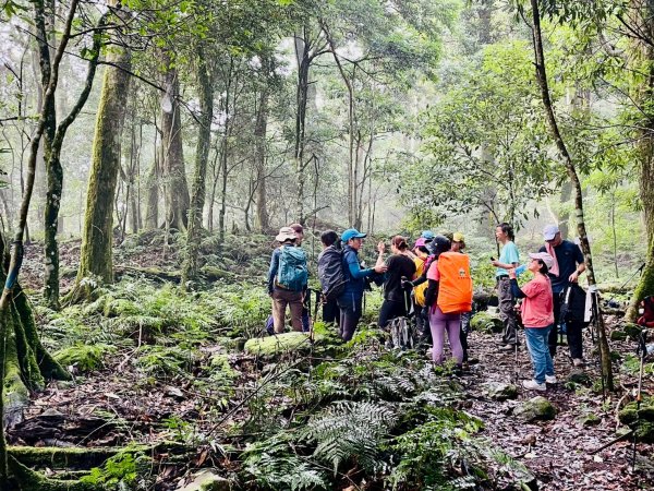 🌈8/2(六）鵝公髻山（小百岳）+北埔冷泉消暑+北埔老街美食✨FB：熊熊趴爬走🌈2852264