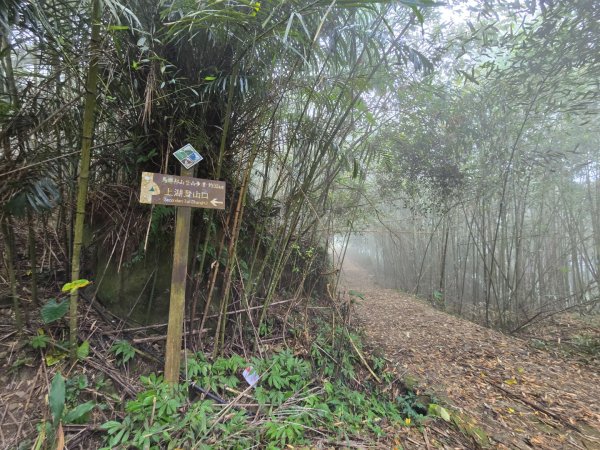 馬那邦山之雲海／雲瀑／楓紅／太陽琉璃光2668236