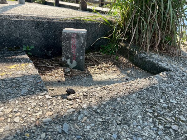 台中 和平 東卯山2771829