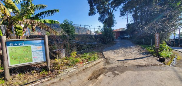 2025-01-30迷糊步道2704467