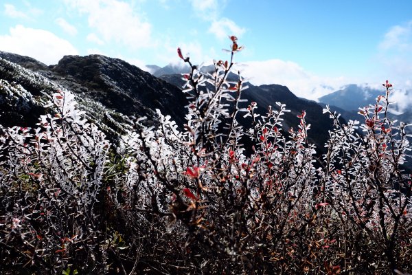 雪山北峰 初冬封面