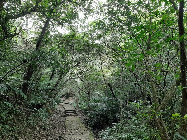 不高，但，超難找二座小百岳1143448