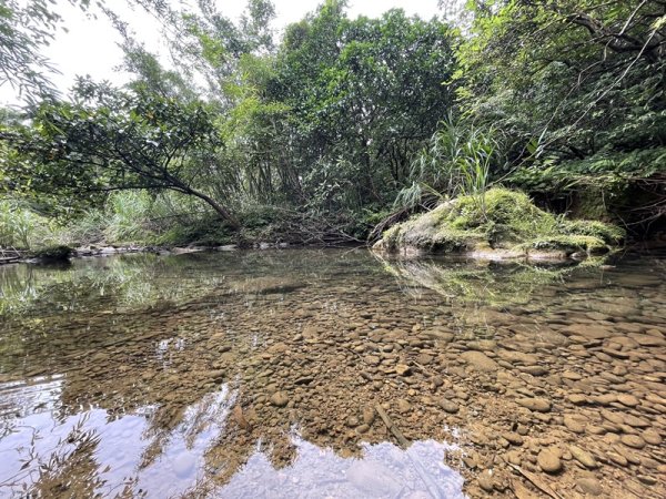 三貂嶺野人谷九瀑連走O型2838351