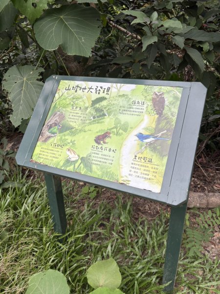 20251024蘭潭後山步道、紅毛埤山、山子頂山2924060