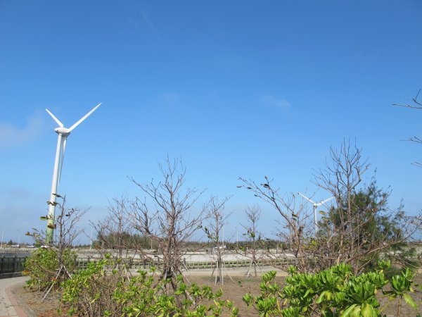 大安龜殼生態公園景觀步道786414